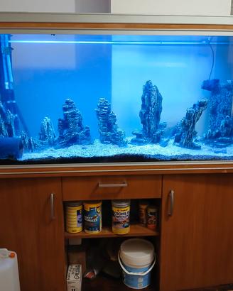 Acquario 450 litri + Filtro osmotico