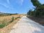 Immagine 11