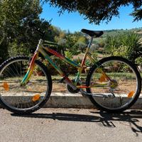 Bicicletta MTB 