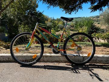 Bicicletta MTB 