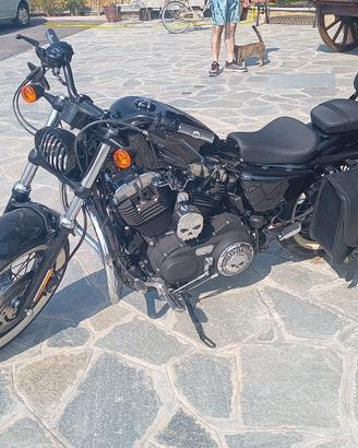 Harley