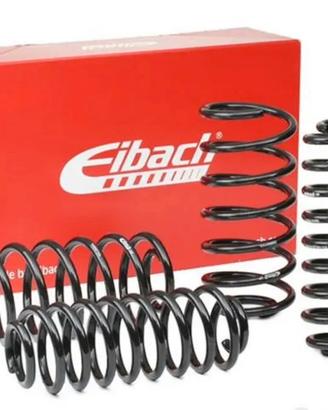 Kit Molle Eibach prokit per Porsche 911 - 997