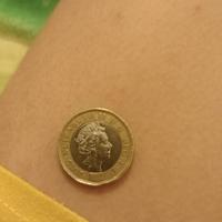 moneta One pound 