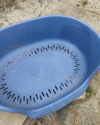 Cuccia bluette cane cani