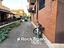 Immagine 29