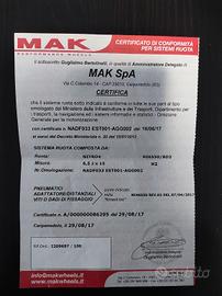 Cerchi in lega con gomme invernali 