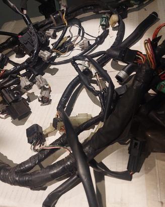 Impianto elettrico Suzuki Gsx R K6 K7 600 750 