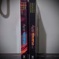 Lotto 2 Volumi MAXI Dylan Dog - Old Boy n. 24 & 25