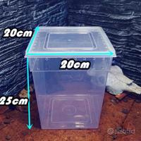 Box forati per gechi 20c20x25h