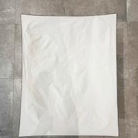 n.01 Elinchrom Rotalux Softbox Recta 90x110cm