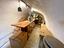 Immagine 13