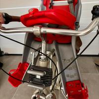 Ok Baby seggiolino bici anteriore Orion