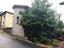 Immagine 7