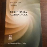 Economia aziendale Giappichelli Guiggi,Corsi, Mion