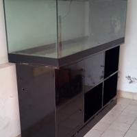 acquario o Terrarium usato 