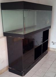 acquario o Terrarium usato 