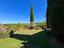 Immagine 30