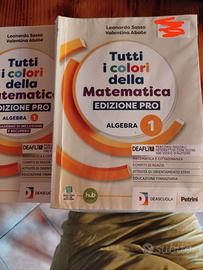 Libro matematica prima superiore  di algebra