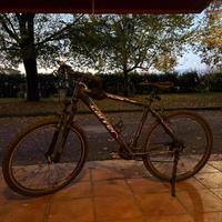 Mountain bike carver