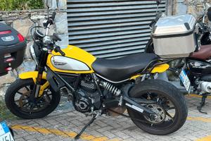 Ducati scrambler 800 icon