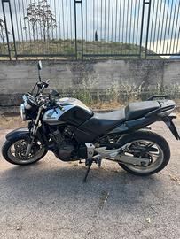 Honda CBF 600 Naked del 2006
