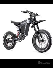 Bici elettrica