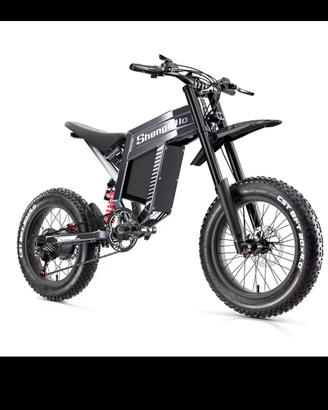 Bici elettrica
