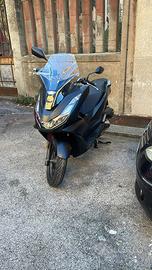 Pcx 125 anno 2024