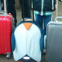 Trolley bimbo Samsonite pinguino