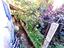 Immagine 29