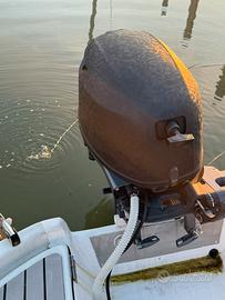 Selva kingfish 9,9/25