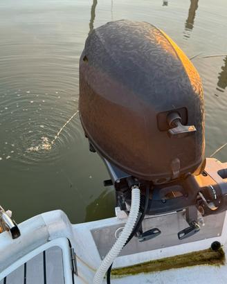 Selva kingfish 9,9/25