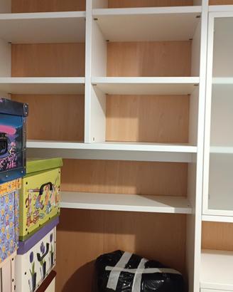 parete libreria 