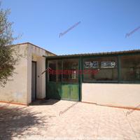 Casa, Termini Imerese.