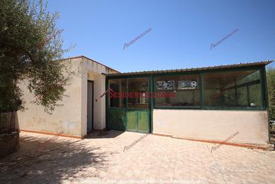 Casa, Termini Imerese.