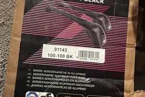 Portapacchi Tesla Model Y