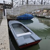 Patanella con motore