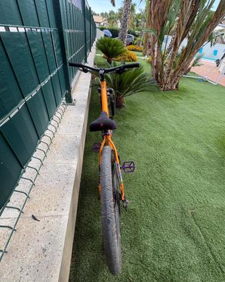 Mtb trek