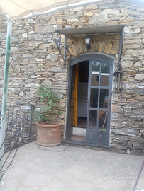 Terreno boschivo con rudere