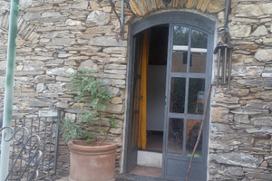 Terreno boschivo con rudere