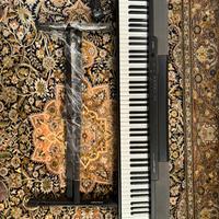 Casio CDP-100 pianoforte digitale 88 tasti pesati