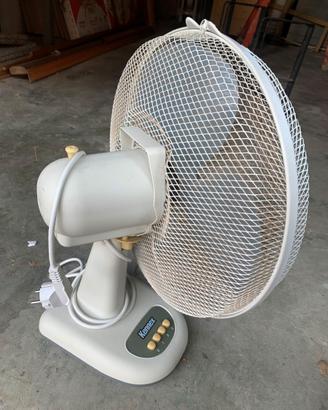 Lotto due ventilatori da tavolo
