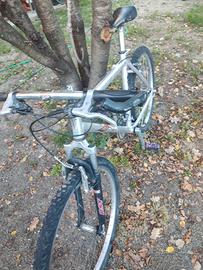 bici mtb