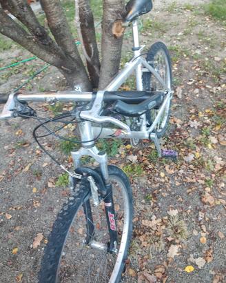 bici mtb