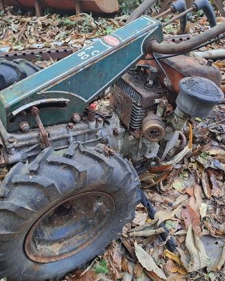 Falciatrice Goldoni FC 80 agricoltura