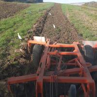 Frangizolle 24 dischi