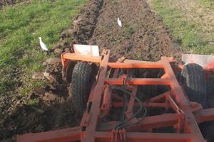 Frangizolle 24 dischi