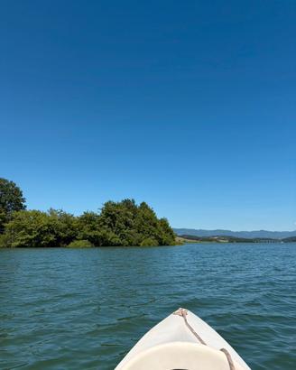 Kayak