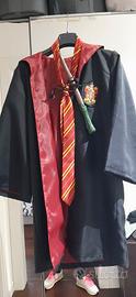 vestito Harry Potter