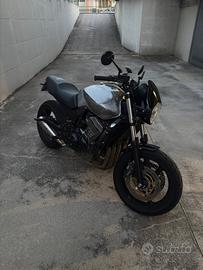 Honda hornet
